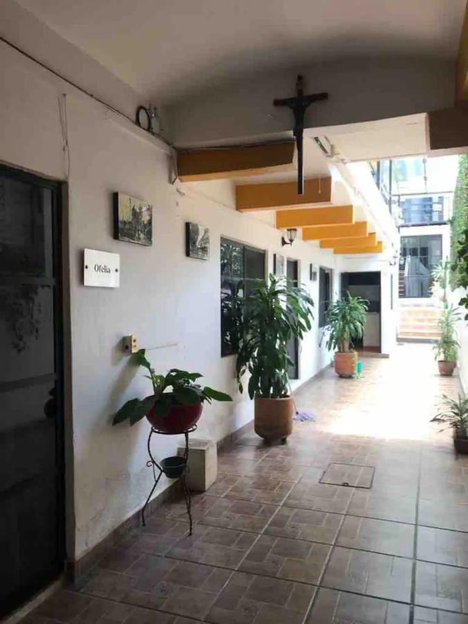 Apartamento Cute Apart Excellently Located Oaxaca Exterior foto