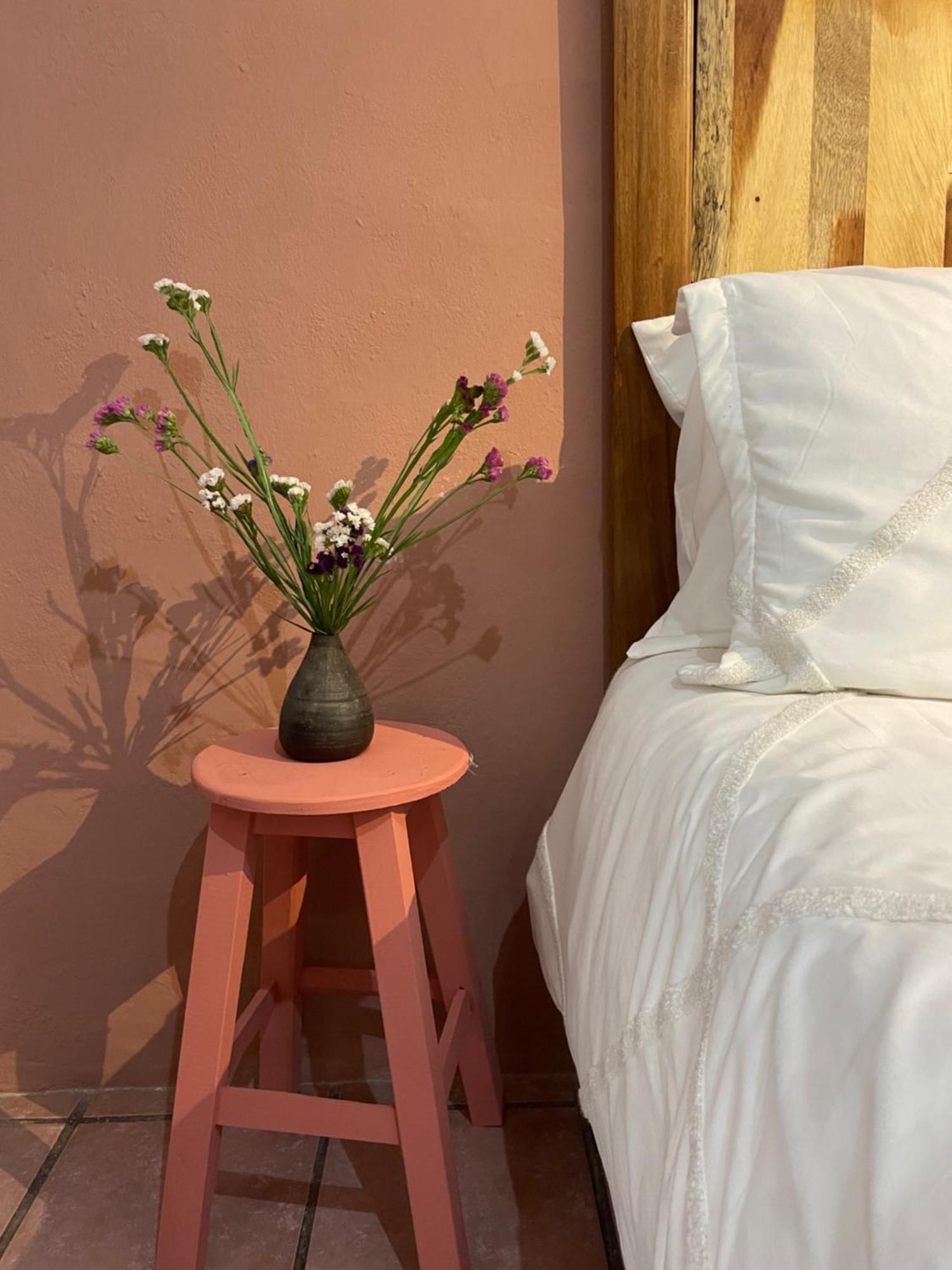 Apartamento Cute Apart Excellently Located Oaxaca Exterior foto
