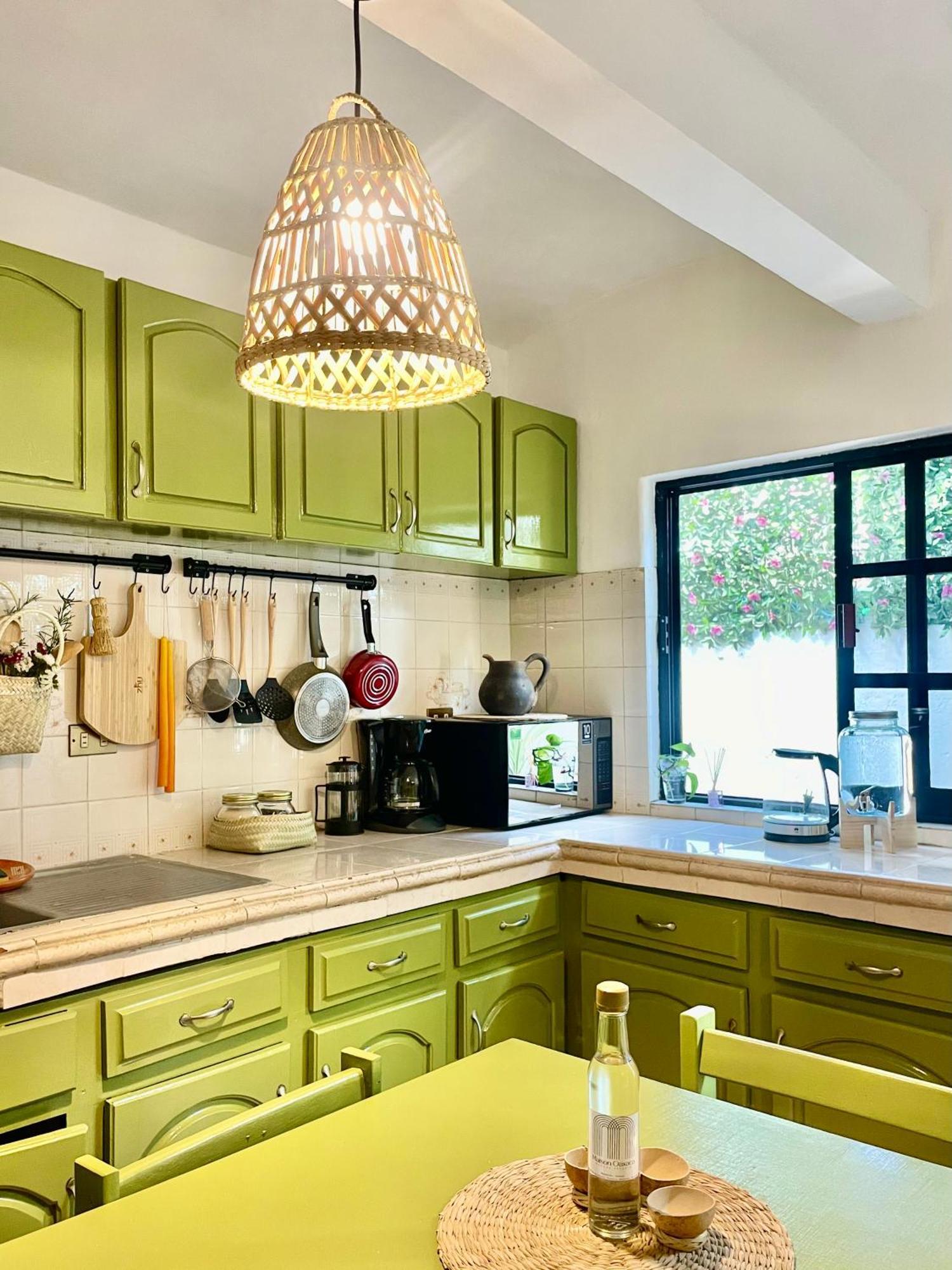Apartamento Cute Apart Excellently Located Oaxaca Exterior foto