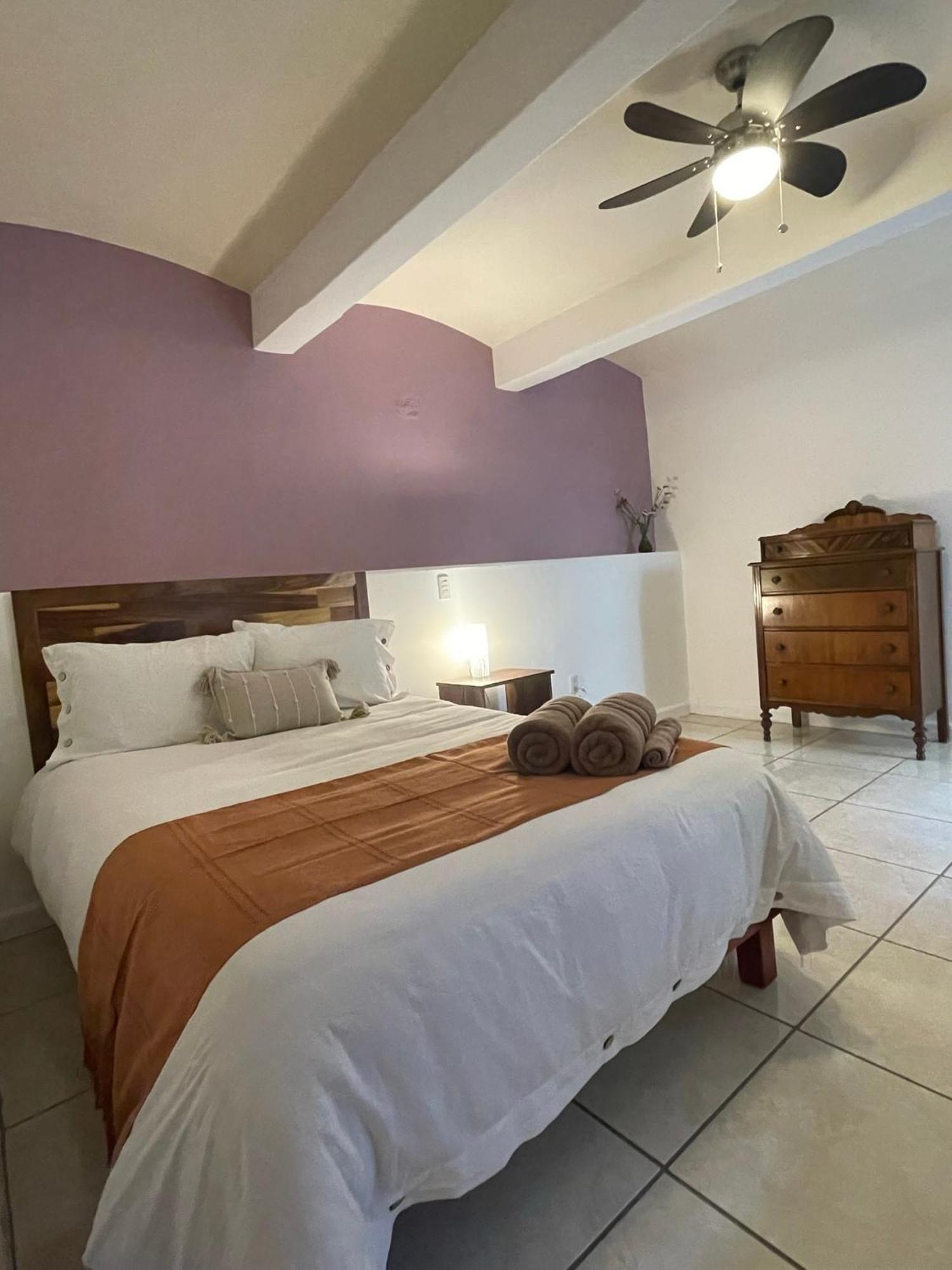 Apartamento Cute Apart Excellently Located Oaxaca Exterior foto